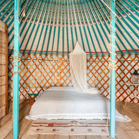 Alpaca Country House Понтедера Екстер'єр фото