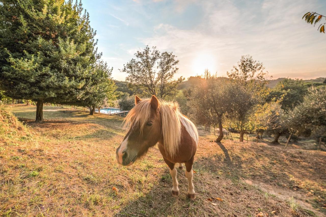 Alpaca Country House Понтедера Екстер'єр фото